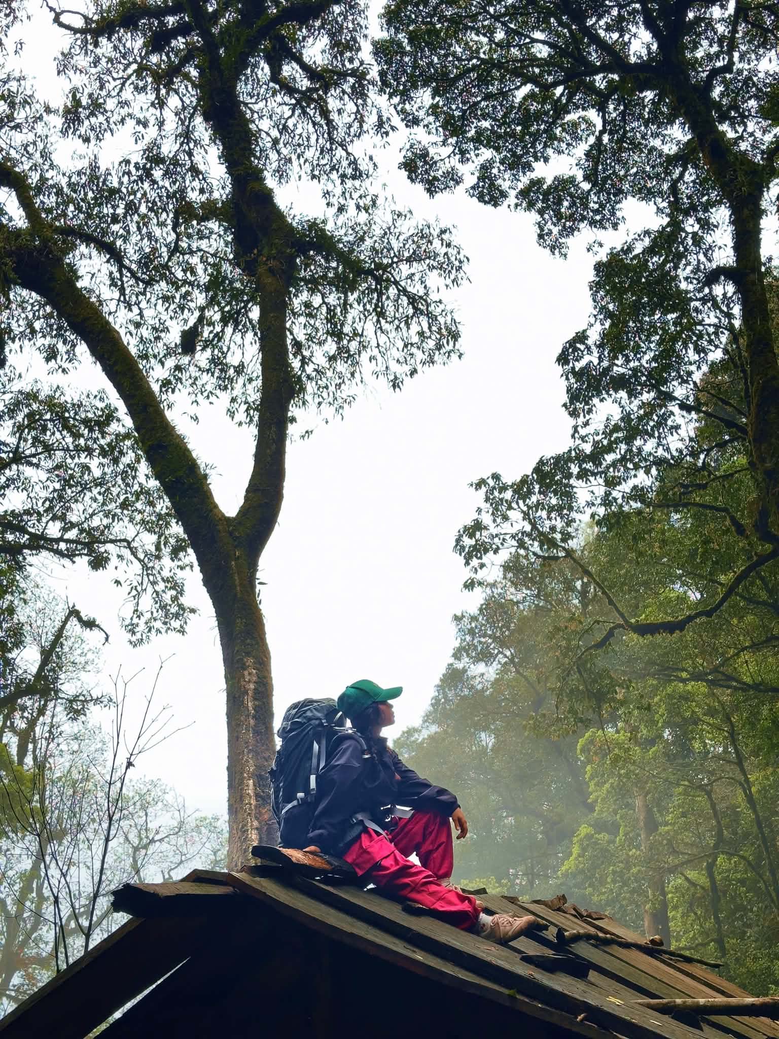 Lùng Cúng 2913m