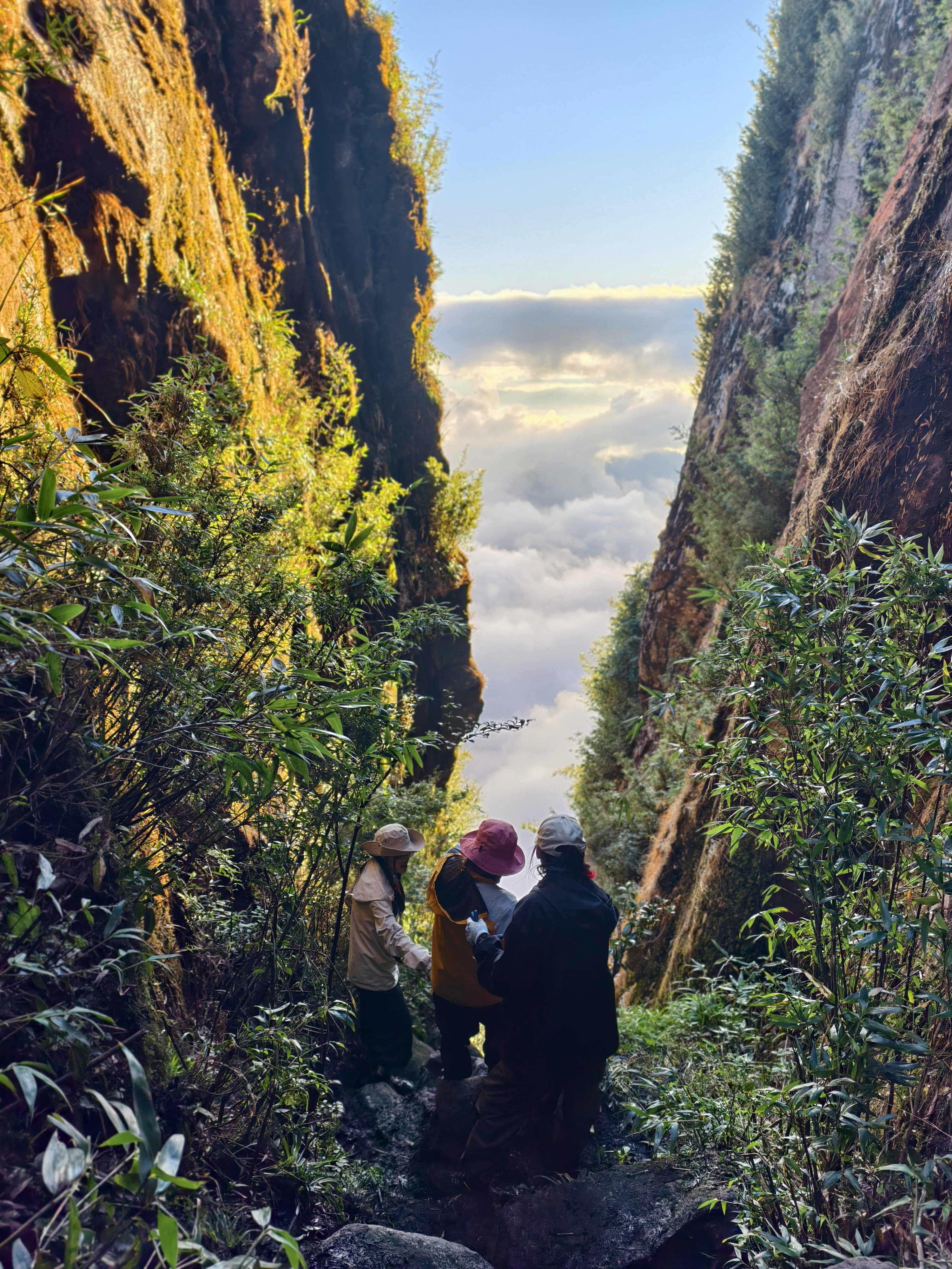 Ngũ Chỉ Sơn 2858m 1