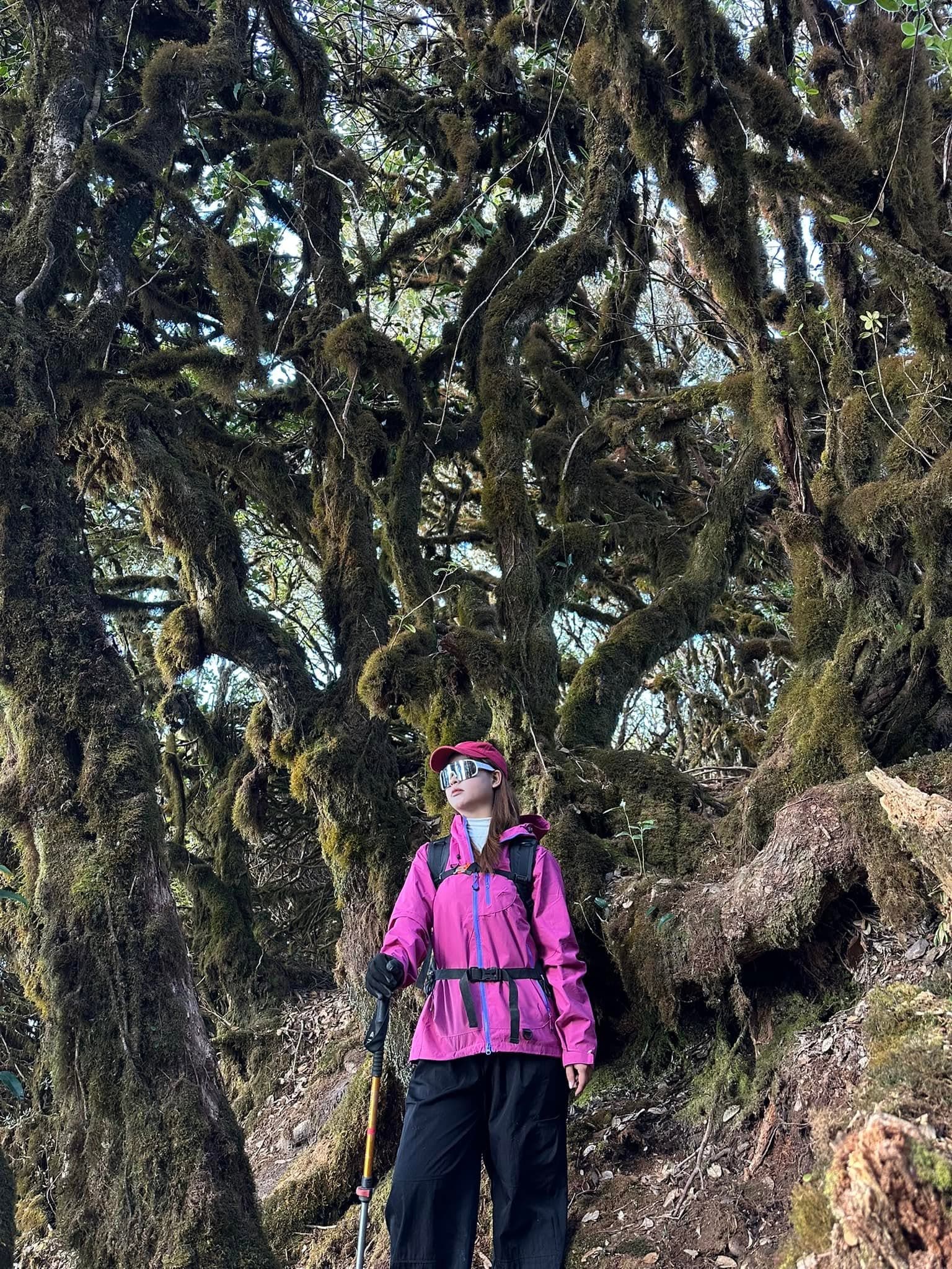 Phu Sa Phìn 2963m 4